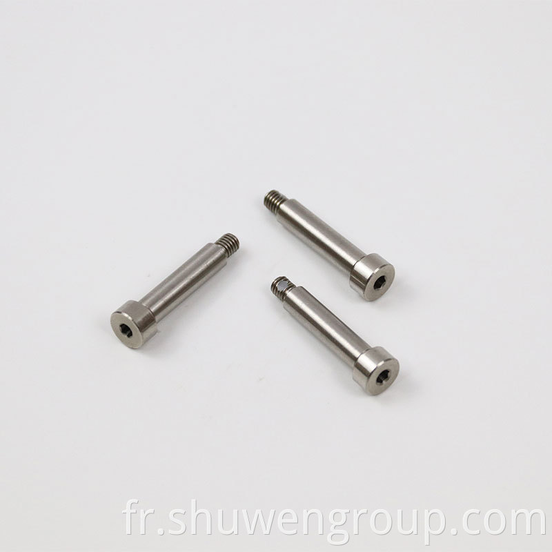 Stainlesss Steel Allen Screws with White Nylon Patch